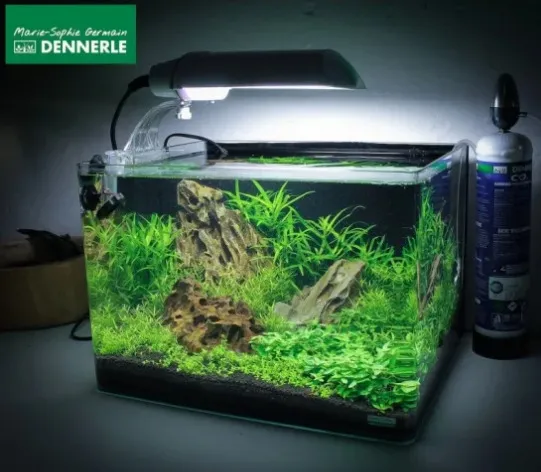 Аквариум Dennerle Nano Scaper's Tank White Glass 70 л из осветленного стекла