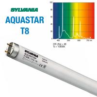Лампа SYLVANIA T8 Aquastar 36вт 120см  (не оферта, под заказ, наличие и актуальная цена подтверждается менеджером)