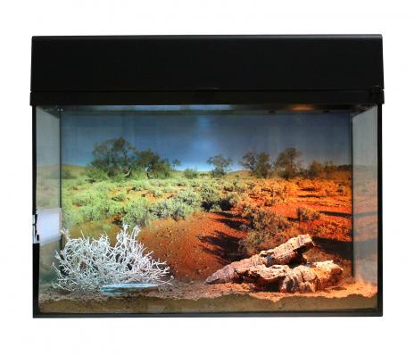 LUCKY REPTILE Террариум "Стартовый комплект для Гекконов", черный, 50х28х40см (Германия)