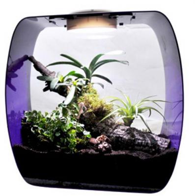 LUCKY REPTILE Террариум "Life Box", белый, 30х18х30см (Германия)
