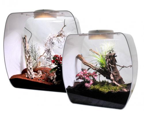 LUCKY REPTILE Террариум "Life Box", 30х18х30см (Германия)