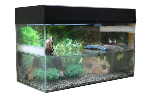 LUCKY REPTILE Террариум "Стартовый комплект для водных черепах", черный, 80x40x52 см (Германия)