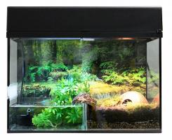 LUCKY REPTILE Террариум "Стартовый комплект для Амфибий", белый, 50х28х40см (Германия)