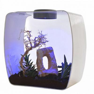 LUCKY REPTILE Террариум "Life Box", белый, 35х20х35см (Германия)