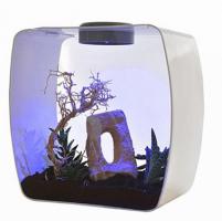 LUCKY REPTILE Террариум "Life Box", фиолетовый, 35х20х35см (Германия)