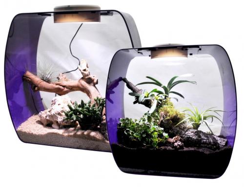 LUCKY REPTILE Террариум "Life Box", фиолетовый, 35х20х35см (Германия)