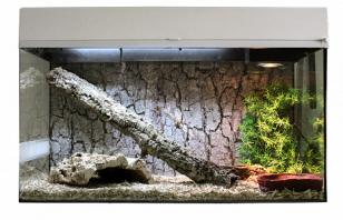 LUCKY REPTILE Террариум "Стартовый комплект для Змей", белый, 50х28х40см (Германия)