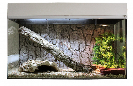 LUCKY REPTILE Террариум "Стартовый комплект для Змей", белый, 50х28х40см (Германия)