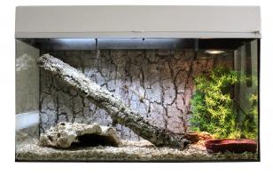 LUCKY REPTILE Террариум "Стартовый комплект для Змей", белый, 80х40х52см (Германия)