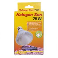 LUCKY REPTILE Лампа галогенная "Halogen Sun Spot 75Вт, E27" (Германия)