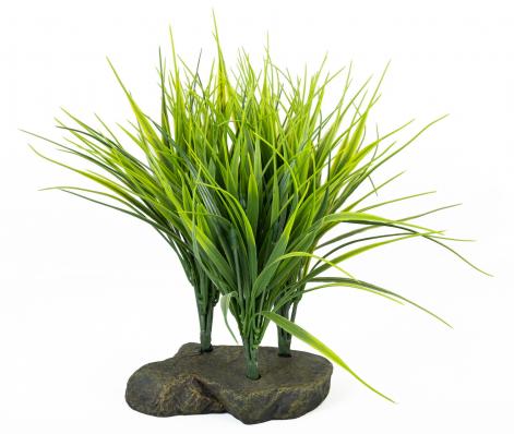LUCKY REPTILE Декоративное растение для террариумов "Sumatra Grass", 20см (Германия)!