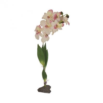 LUCKY REPTILE Декоративное растение "Orchid white", белое, 40см (Германия)!