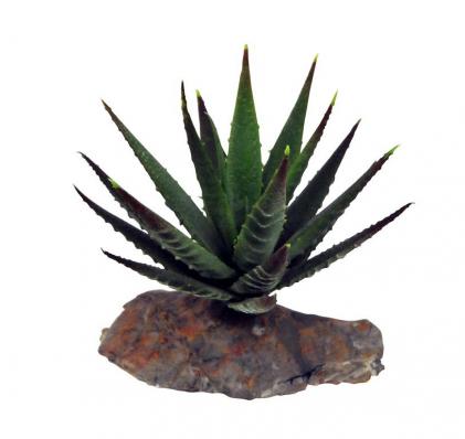 LUCKY REPTILE Декоративное растение для террариумов "Tiger Aloe", 8см (Германия)!