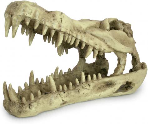 LUCKY REPTILE Декорация для террариумов, череп "Skull Krokodil", 25x11.2x15.2см (Германия)