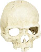 LUCKY REPTILE Декорация для террариума, череп "Skull Monkey", 15х12х11см (Германия)