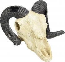 LUCKY REPTILE Декорация для террариума, череп "Skull Ram", 19.5х17х12см (Германия)
