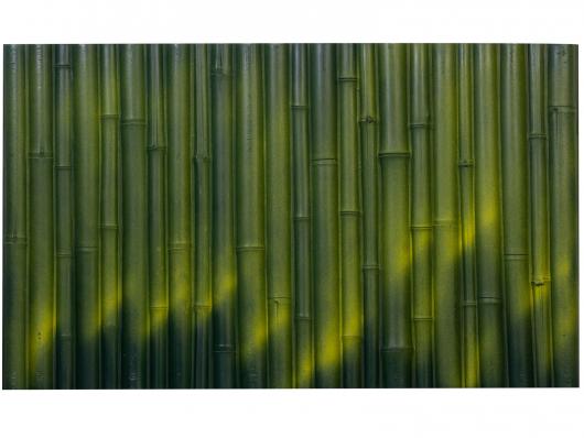 LUCKY REPTILE Фон для террариума "Bamboo", 98x48см (Германия)!
