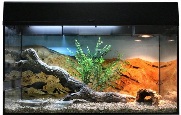 LUCKY REPTILE Террариум "Стартовый комплект для Бородатых Агам", черный, 80х40х52см (Германия)