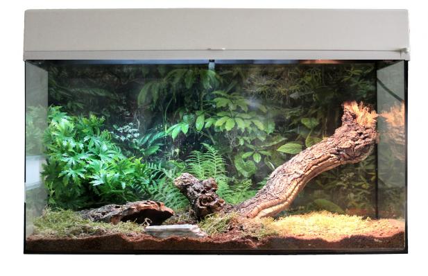 LUCKY REPTILE Террариум "Стартовый комплект для Пауков и Скорпионов", белый, 50х28х40см (Германия)