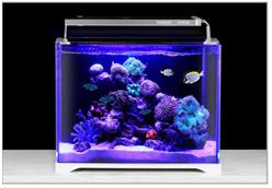 Светильник LED для морского аквариума 28W, SS-ADS-500H