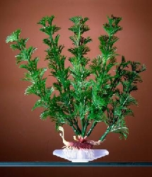 Искуственное Растение Кабомба, 27.94см