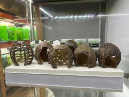 Кокос для аквариума — укрытие для рыб, сомов