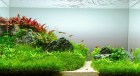 Светильник Биодизайн LED SCAPE Sun Light ECO, для аквариума длиной 85 см (Риф 150/ Панорама140) (не оферта, актуальная цена подтверждается менеджером)