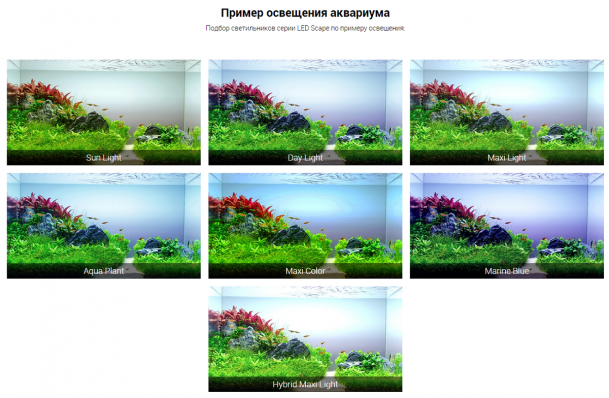 Светильник Биодизайн LED SCAPE Sun Light ECO, для аквариума длиной 85 см (Риф 150/ Панорама140) (не оферта, актуальная цена подтверждается менеджером)
